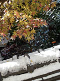 12月18日の朝 窓の外の雪