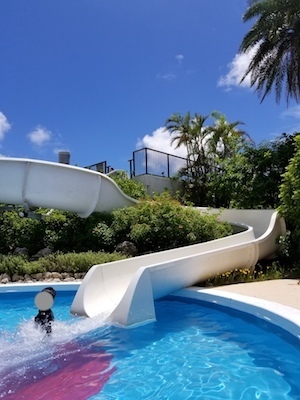 20180820_122259.jpg