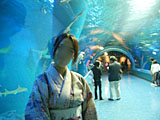 水族館1