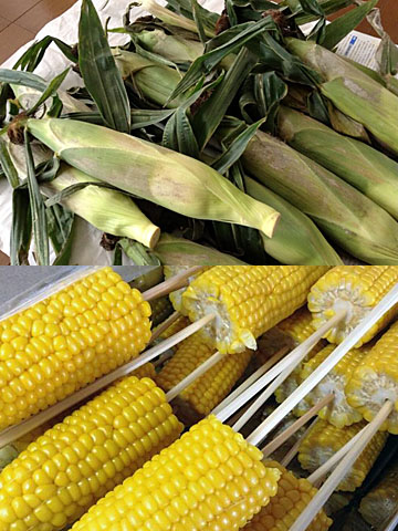 corn.jpg