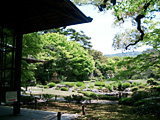 無隣庵 庭園