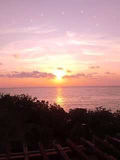 okinawa_2011_03.jpg