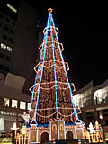 スカイビルのクリスマスツリー