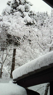 NEC_0032.jpg
